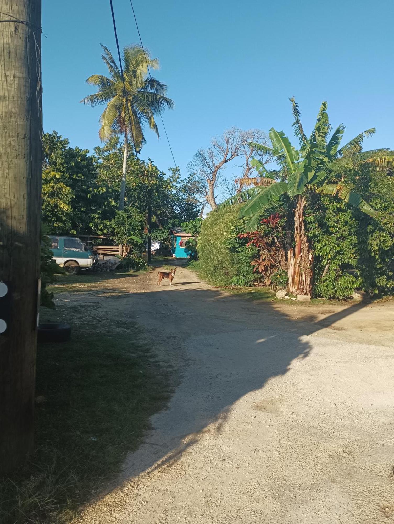 Kapeta Cabin Nuku'alofa Dış mekan fotoğraf